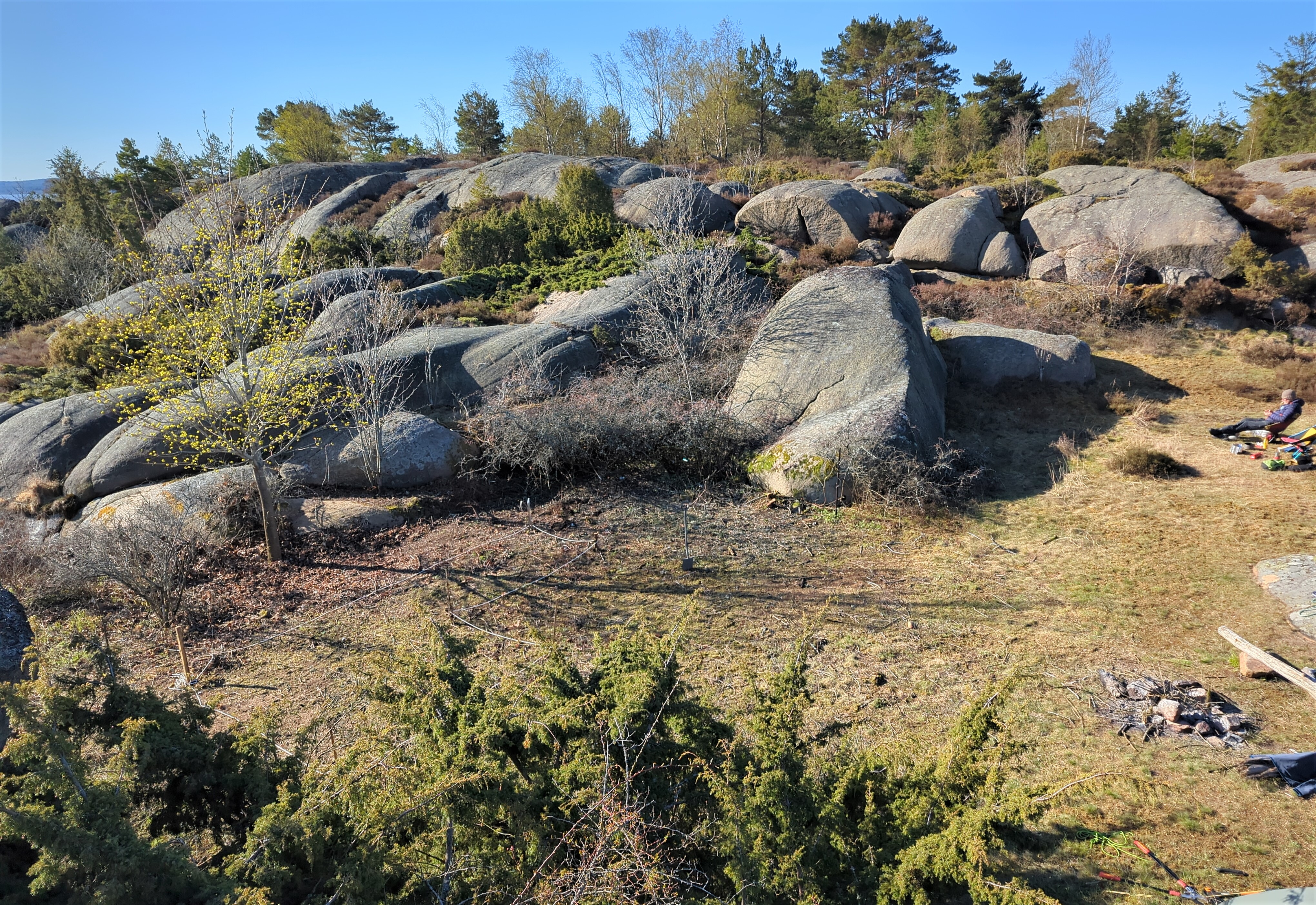 Dugnad på Risholmen