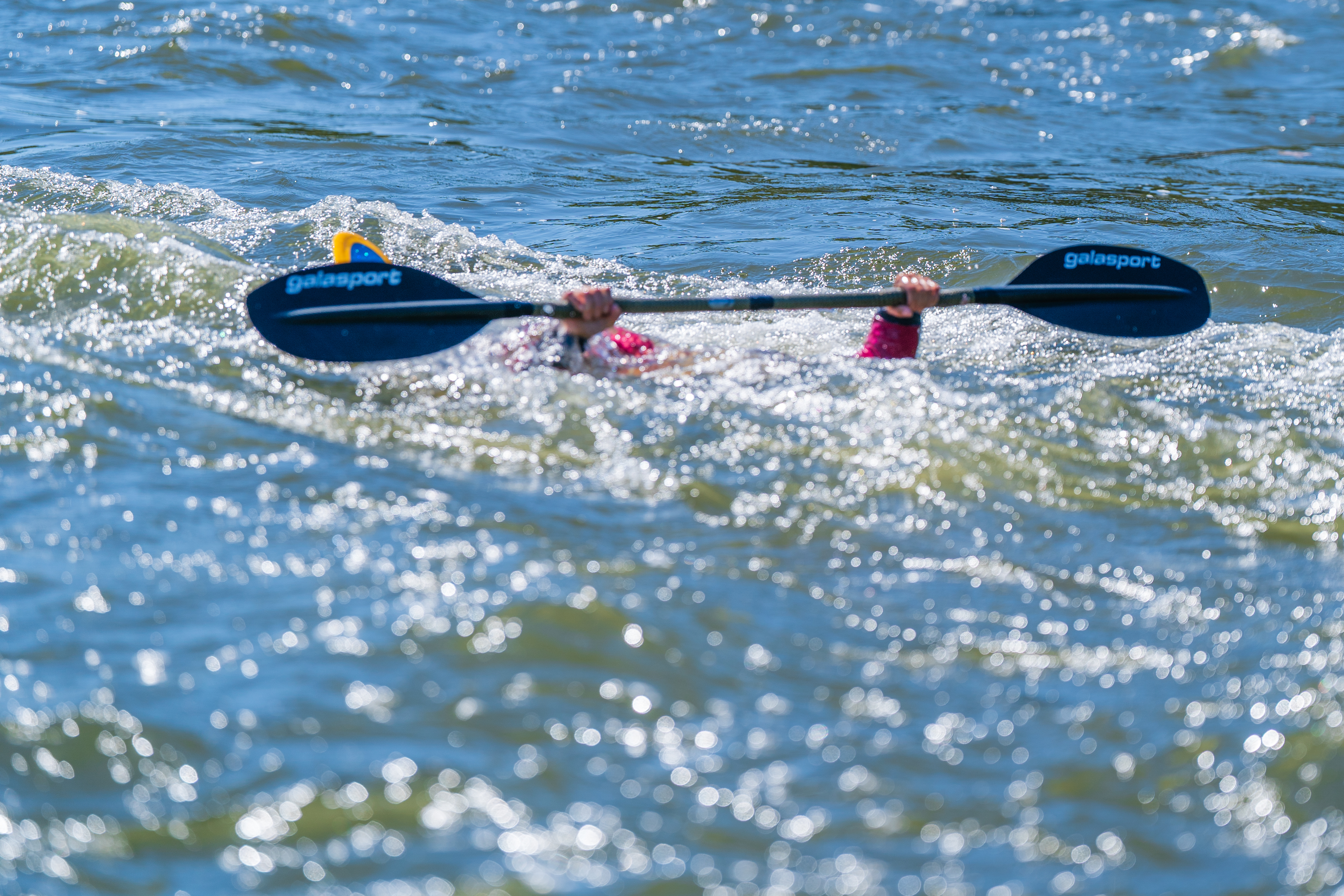 Foto: Jeff Bloor